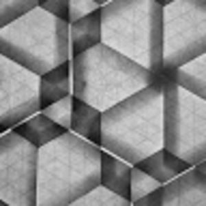 Meet your Posher, Kimmy